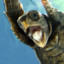 C00lturtle