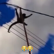😭😭O MACACO TÁ DUUURO avatar