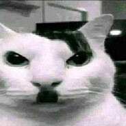 Hitler Meow