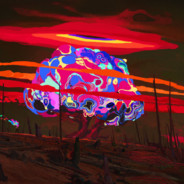 全装甲罗兰莓口味太空