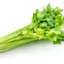 Celery