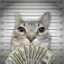 Dima_TH