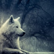 FWOLF - steam id 76561197964441565