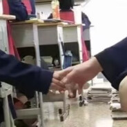 导过的手怎配牵她纯洁的手