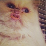 Monica .:::. ✿ .:::.