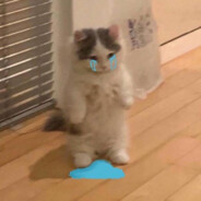 evaⁿᵉˢᶜᵉⁿᶜᵉ