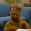 ALF