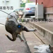 我可以查查你的小学吗？