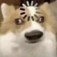 csgo2最菜玩家你爹