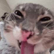 *#¤Maxsevaiver¤#*'s avatar