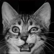Le_ThomKat