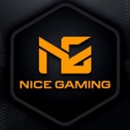 Ng. Nice game. эмблема n&g. файл найс игра. Nice games.