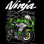 Ninja ZX6R