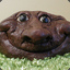 ZopaEvis