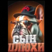 Мурло - steam id 76561198196780102