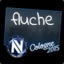 fluche