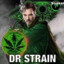 Dr. Strain