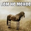 пукаю after нюхаю