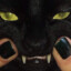 notacat