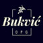 Bukvić