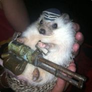 Player avatar