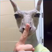 sherard clartin finger