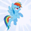 Rainbow Dash &lt;3