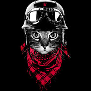 KOTZILLA 1 3 3 7 - steam id 76561198788363063