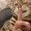玊
