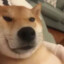 死肥宅