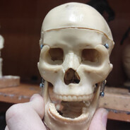 Каках Пердунович