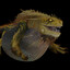 jagras games