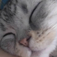 高老庄第一美人