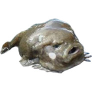 ILIKESHITPLEASESHITONME