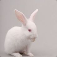 还跟我说你不会武功