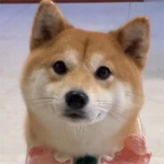 小柴（破损不堪）