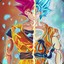 Goku HW69.PL