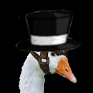 Goose