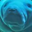 Hugh Manatee