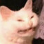 oFamosouAguscock