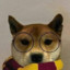 HarryDoge