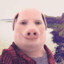 John Pork Goty 17