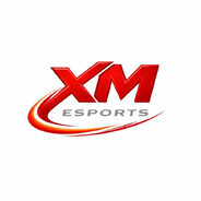xM | Terminator Steam avatar