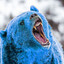 Blue Bear