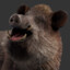 Boar bandit.gg