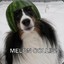 Melon Collie