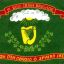 1st Irish Brigade