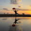 Nick.SY.Sung