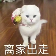 高频犯困