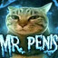 Mr. Penis
